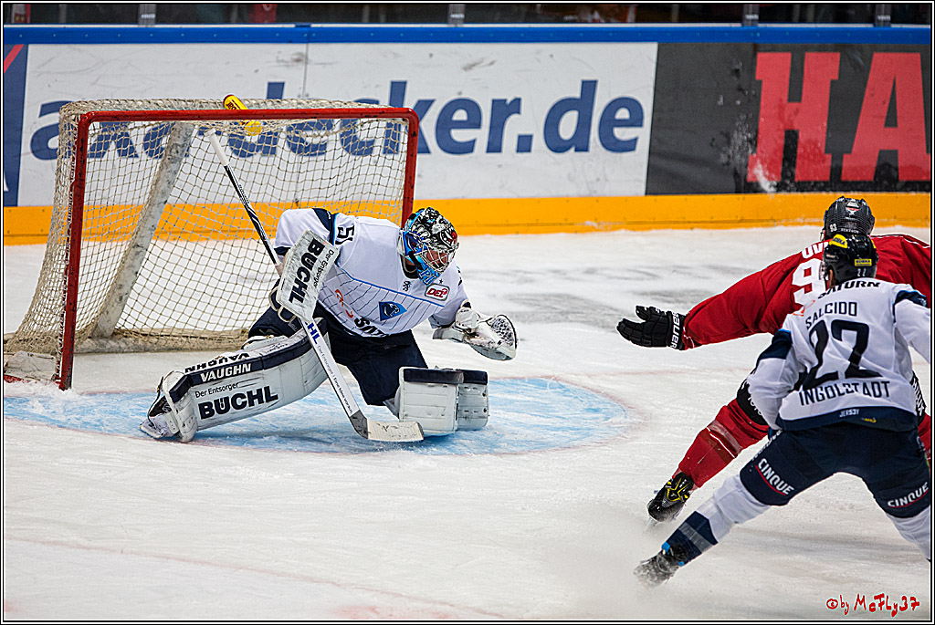 DEL, Koelner Haie - ERC Ingolstadt, 20.01.2017